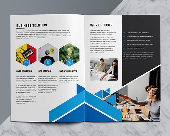 Top Business Brochure Design Service